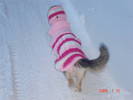 Picture 148