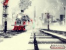 Christmas Wallpapers (508)