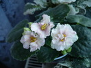 P1150752