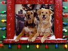 Christmas Wallpapers (122)