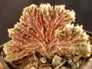DSC05219