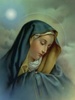 Virgin_Mary