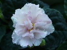P1150848