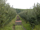 DSCN3204