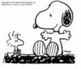 snoopy (43)