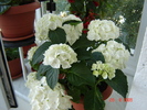 DSC02631