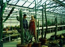 scan0073