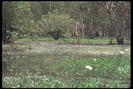 IMG0005