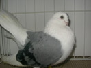 SANY0126