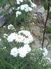 PICT0037