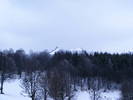 DSCF7630