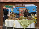 DSCN3121