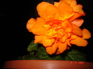 DSC02678