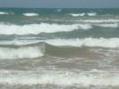 DSC05444