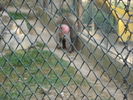 Picture 027