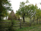P1010835