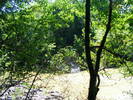 DSCF2506