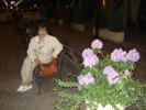 Picture 196