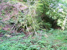 DSCF5289