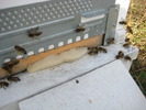 IMG_0002 (3)