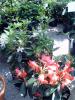 DSC00041