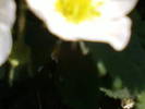 Fotografii-0034