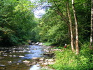 DSCF5060