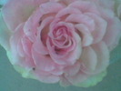 Imag044