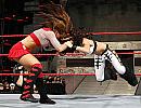 Mickie-James---Melina-wwe-divas-214994_456_352