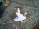picture0013