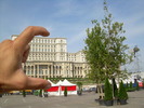 DSCN3870
