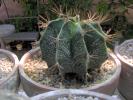 Picture 012