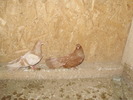 P9061572