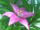 Imag031