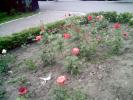 PICT0157(1)