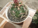DSCF0978