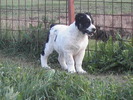 poze 04.05.2009 131