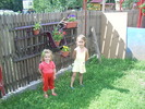 Picture 023