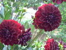 PICT0084