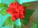 DSC01021