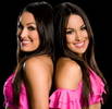 250px-Bellatwinspink