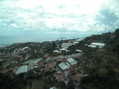 DSCN2453