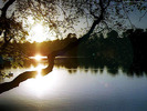 Light Reflection