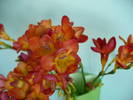P1100502
