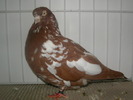 SANY0135
