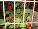 DSC09840