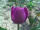 Imag064