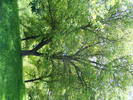 DSCF0513