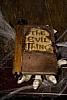5._The_Evil_Thing_-_Book