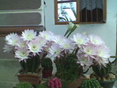 Imag037